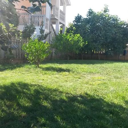 Apartment Villa Dobrijevic -Seljanovo 蒂瓦特 外观 照片